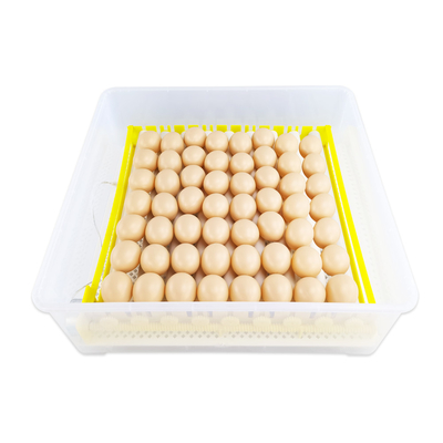 Wielofunkcyjny 56 Inkubator do jaj strusich Wylęgarnia jaj strusich Wylęgarnia jaj strusich