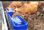 Odporny na mróz plastikowy zbiornik na wodę dla zwierząt gospodarskich L13ft 260L
