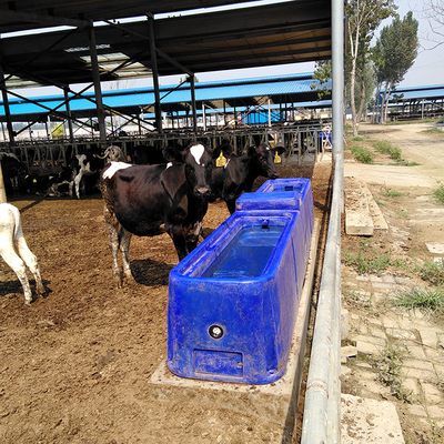 Wytrzymały zbiornik na wodę dla zwierząt hodowlanych o pojemności 4m 260L Koryta na wodę dla zwierząt LLDPE
