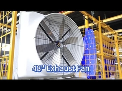 Poprawa krążenia powietrza dzięki wentylatorowi dla drobiu 121139 m3/h i silnikowi PMSM