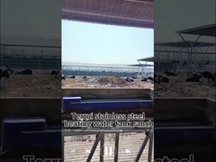 15-40C Tryb sterowania temperaturą krowie wody do picia z 3 zestawy 220V300W ogrzewania dysków