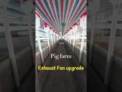 Pojemność wentylatora wydechowego przemysłowego 72 cali średnica ostrza IP55 stopień ochrony