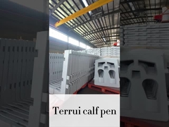 Politelitylowe klatki na cielęta mleczne do łatwego czyszczenia i konserwacji