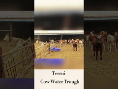 Automatyczny podlewacz dla zwierząt gospodarskich o wysokości wody pitnej 250 mm LLDPE