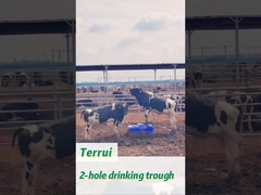 Pojemność 85 litrów Zbiornik wodny z ciężkim polietylenem dla zwierząt hodowlanych z przepływem