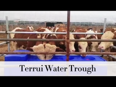 85L Błękitny ciężki zbiornik do nawadniania z 3/4 splecionym wążem