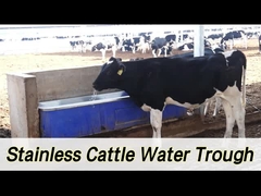 2 zestawy 1800W regulowane ogrzewanie zwierzęce automatyczny podlewacz z przepływem 100-120L/min