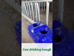 Woda dla krów o wysokim natężeniu przepływu dla łatwego podlewania na wysokości 450 mm