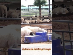 120L/min Przepływ krowie wody do picia 150L Pojemność produkcji rolnej