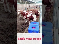 LLDPE Blue Cow Waterer Idealne rozwiązanie dla gospodarki bydła