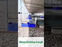 60L pojemność krowie wody pitnej 170*48*46cm Idealny dla dużych stad