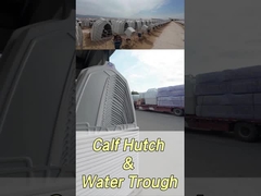 220*145*145cm prostokątne klatki mleczne dla cieląt dla poprawy zdrowia i samopoczucia