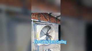 Wentylacja o dużej prędkości: przemysłowe wentylatory wyciągowe Terrui w akcji