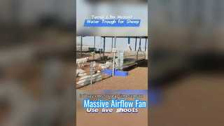 Podgrzewana koryta na wodę dla zwierząt gospodarskich o długości 1,7 m, wykonana z wytrzymałej plastikowej obudowy, wytrzymująca ekstremalnie niskie temperatury